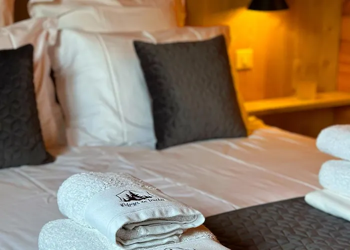 Шале Le Familial - & Sauna - Serviettes - Peignoirs - Lits Faits - Menage Inclus Rochesson